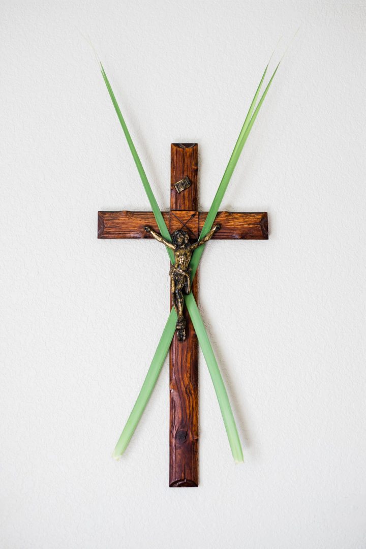 palm sunday and the divine irony of the passion