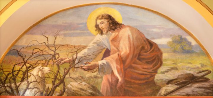 Fourth Sunday of Easter: Heeding the Call of the Good Shepherd