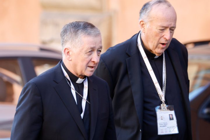 Exclusive: Cardinals Cupich, McElroy say 'impossible to go back' to synods without lay voters